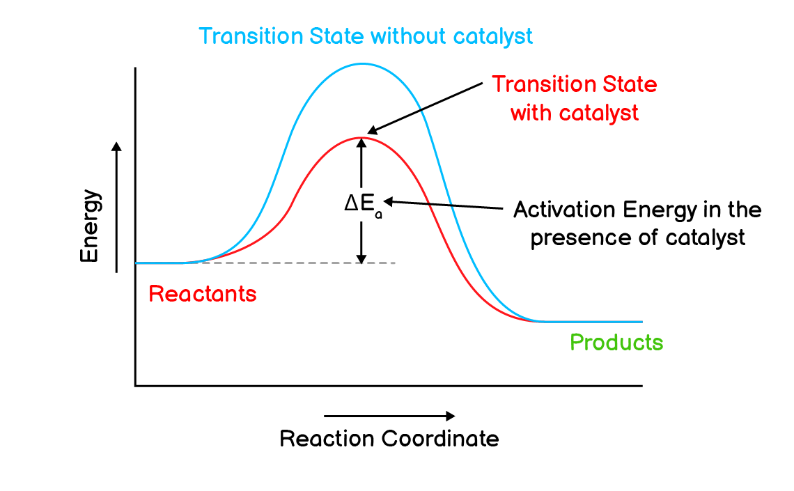 Energy Profile Diagram of a Reaction and affect of a catalyst on activation energy