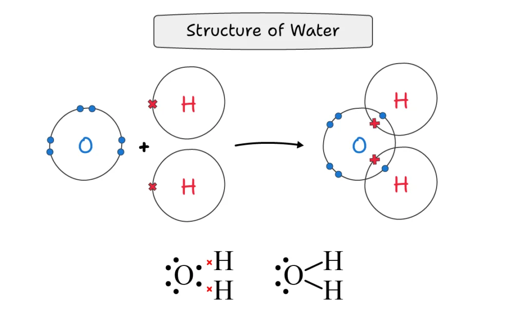 Lewis Dot and Cross Structure of Water (H2O)